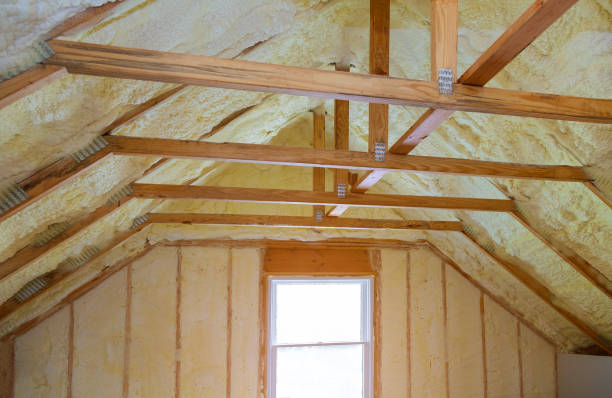 Best Energy-efficient Insulation  in Ravena, NY