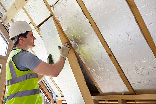 Best Best Insulation Companies  in Ravena, NY