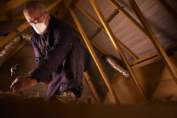 Insulation Replacement Services in Ravena, NY